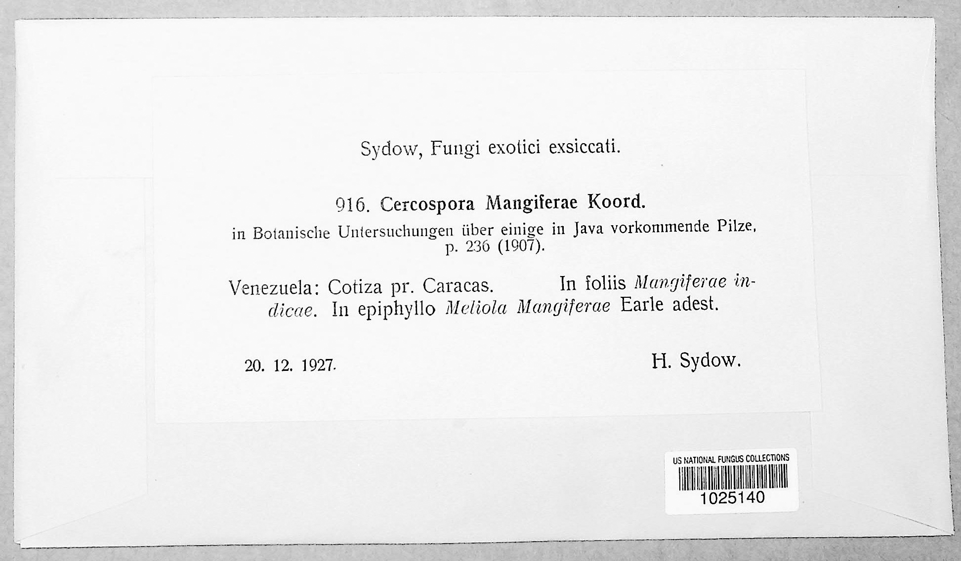Cercospora mangiferae thumbnail